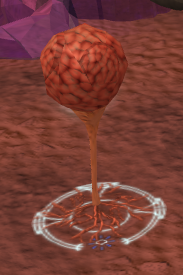 File:Fleshy growth.png