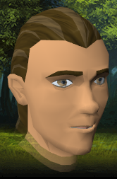 File:Fox Hair hairstyle.png