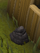 File:Rock penguin.gif