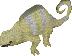 File:Baby-chameleon-sand.png