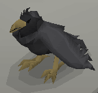 File:Black mohawked raven.png