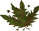 Thumbnail for version as of 23:34, 8 January 2024
