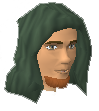 File:Pontimer chathead.png