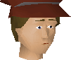 File:Museum guard chathead.png