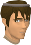 File:Ceril carnillean chathead.png