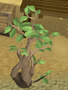 File:Markerplant.png