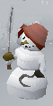 A Pirate snowman