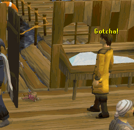 File:Catching a Sea Slug.gif