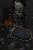 File:Falador shield 4 detail.png