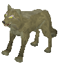 File:Jungle Wolf.png
