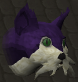 File:Purple wily cat chathead.png