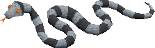 File:Sea-snake-young.png