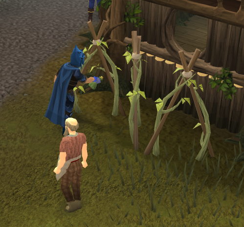 File:Curing Burthorpe vines.png