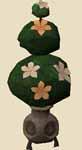 File:Tiered evergreen.png
