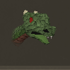 File:Baby green dragon chathead.png