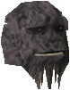 File:Elder Guard chathead.png