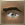 Thumbnail for version as of 23:42, 8 January 2024