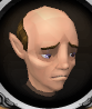 File:Gnome Waiter chathead.png