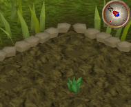 File:GreenHerb1.png