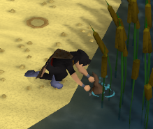 File:Releasing playpus.png
