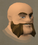 File:Ordan chathead.png