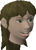 File:Milli Rehnison chathead.png