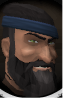 File:Nails Newton chathead.png