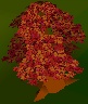 File:Rscmapletree.png