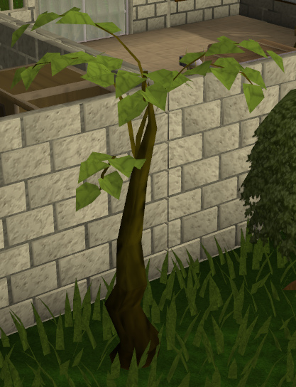 File:Tall plant.png