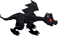 Baby black dragon (before)
