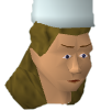 File:Fairy chef chathead.png