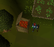 File:Tomatoes in bin.png