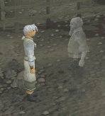 File:Spirit Summer Emotes.gif