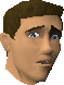 File:Squire (Sir Vant) chathead.png