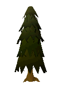 File:Arctic pine.png