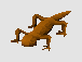 File:Orangesalamander.png