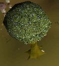 File:Dramen tree.png