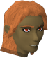 File:Wanderer chathead2.png