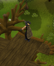 File:Agnomeclimb.png