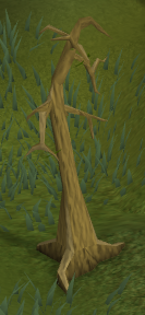 File:Dying tree.png
