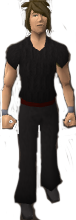 File:Reinald's Smithing Emporium Silver wristguards.png