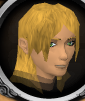 File:Valaine chathead.png