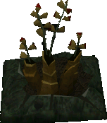File:Duskweed plant detail.png