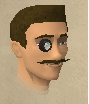 File:Herquin chathead.png