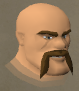 File:Jorzik chathead.png