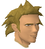 File:Suspicious outsider chathead.png