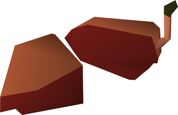 File:Broken crab shell detail.png