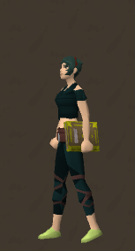 File:Illuminated Book of War equipped.png