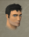 File:Sir owen chathead.png