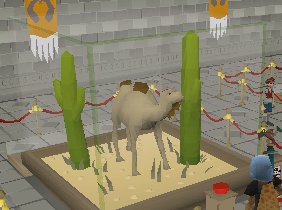 File:Camel display.png